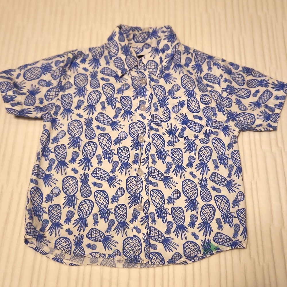 Toddler Boys Pineapples Button down Shirt 4T
